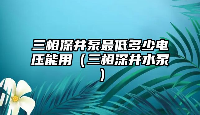 三相深井泵最低多少電壓能用（三相深井水泵）