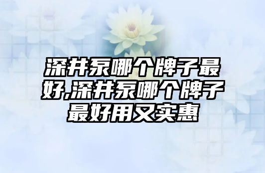 深井泵哪個牌子最好,深井泵哪個牌子最好用又實惠