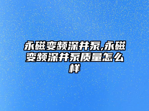 永磁變頻深井泵,永磁變頻深井泵質量怎么樣