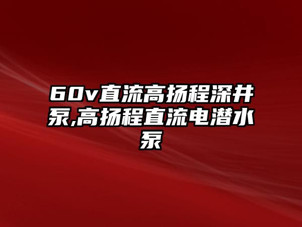 60v直流高揚程深井泵,高揚程直流電潛水泵