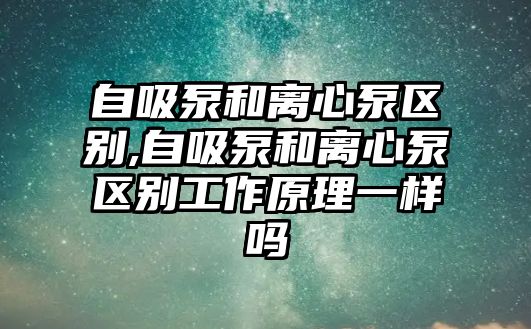 自吸泵和離心泵區別,自吸泵和離心泵區別工作原理一樣嗎