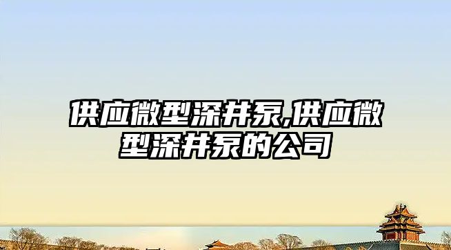 供應微型深井泵,供應微型深井泵的公司