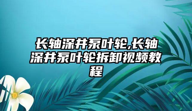 長軸深井泵葉輪,長軸深井泵葉輪拆卸視頻教程