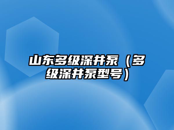 山東多級深井泵（多級深井泵型號）