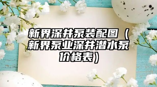 新界深井泵裝配圖（新界泵業(yè)深井潛水泵價格表）