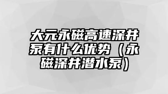 大元永磁高速深井泵有什么優(yōu)勢(shì)（永磁深井潛水泵）