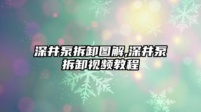 深井泵拆卸圖解,深井泵拆卸視頻教程