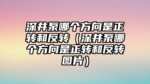 深井泵哪個方向是正轉和反轉（深井泵哪個方向是正轉和反轉圖片）