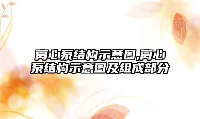 離心泵結構示意圖,離心泵結構示意圖及組成部分