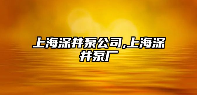 上海深井泵公司,上海深井泵廠