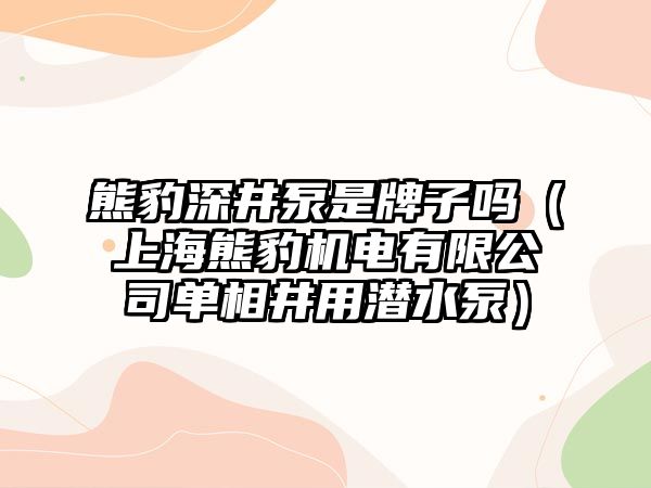熊豹深井泵是牌子嗎（上海熊豹機電有限公司單相井用潛水泵）