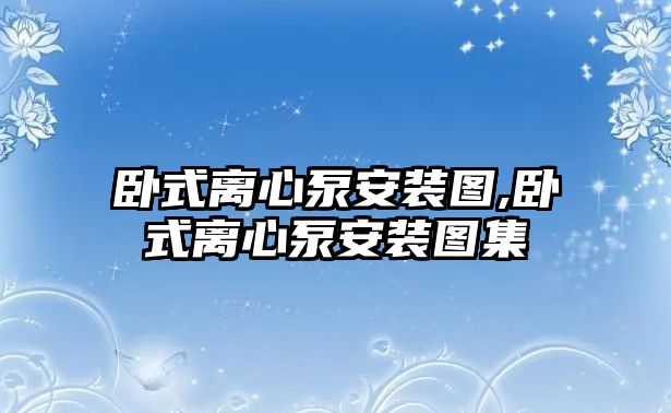 臥式離心泵安裝圖,臥式離心泵安裝圖集