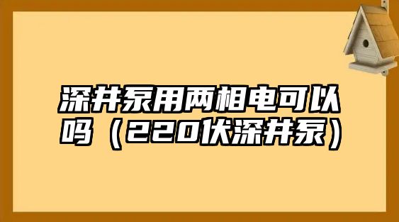 深井泵用兩相電可以嗎（220伏深井泵）