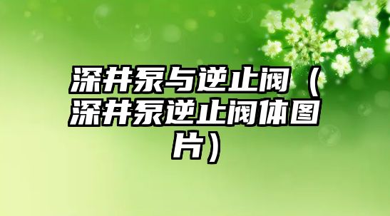 深井泵與逆止閥（深井泵逆止閥體圖片）