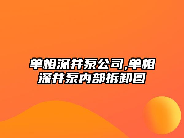 單相深井泵公司,單相深井泵內部拆卸圖