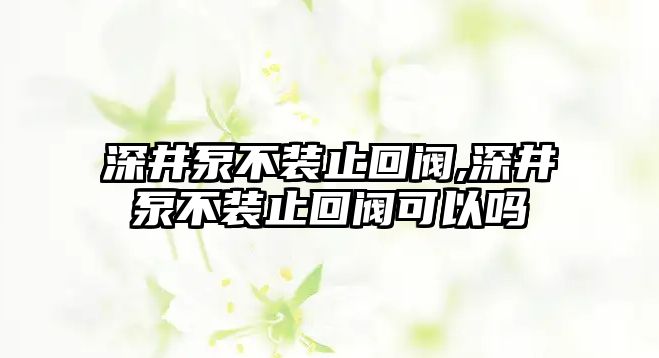 深井泵不裝止回閥,深井泵不裝止回閥可以嗎