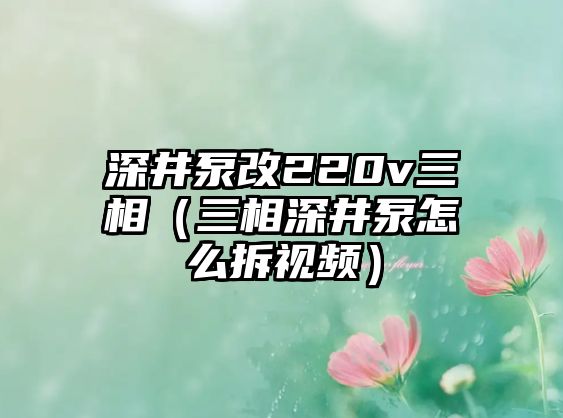 深井泵改220v三相（三相深井泵怎么拆視頻）