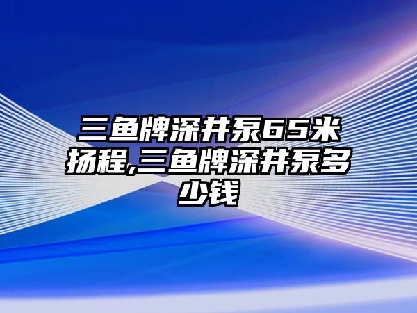 三魚牌深井泵65米揚程,三魚牌深井泵多少錢