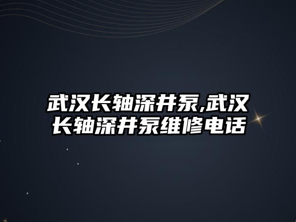 武漢長軸深井泵,武漢長軸深井泵維修電話