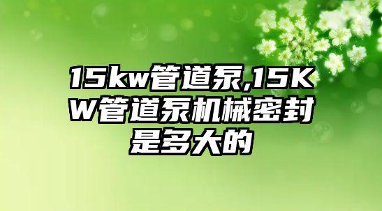 15kw管道泵,15KW管道泵機械密封是多大的