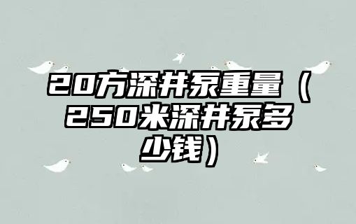 20方深井泵重量（250米深井泵多少錢）