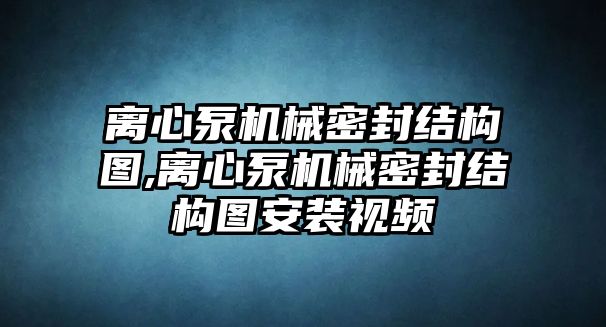 離心泵機械密封結構圖,離心泵機械密封結構圖安裝視頻