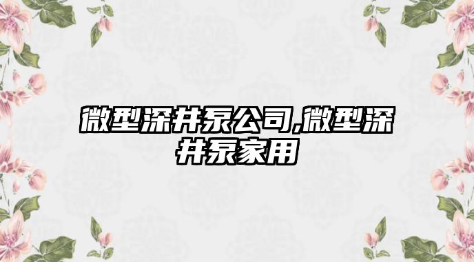 微型深井泵公司,微型深井泵家用