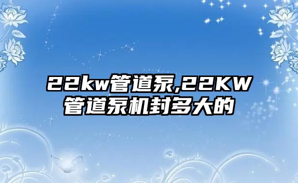 22kw管道泵,22KW管道泵機封多大的