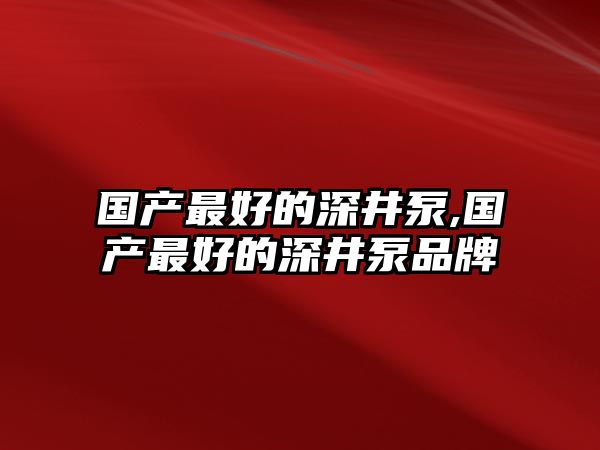 國產最好的深井泵,國產最好的深井泵品牌