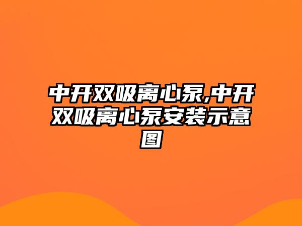 中開雙吸離心泵,中開雙吸離心泵安裝示意圖