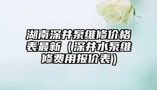 湖南深井泵維修價格表最新（深井水泵維修費用報價表）