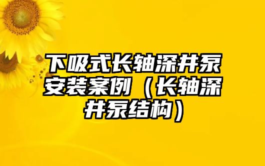 下吸式長軸深井泵安裝案例（長軸深井泵結(jié)構(gòu)）