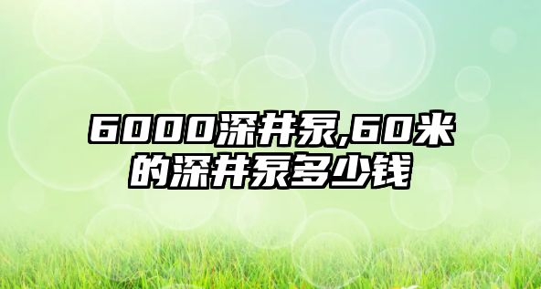 6000深井泵,60米的深井泵多少錢(qián)