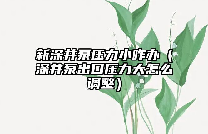 新深井泵壓力小咋辦（深井泵出口壓力大怎么調整）