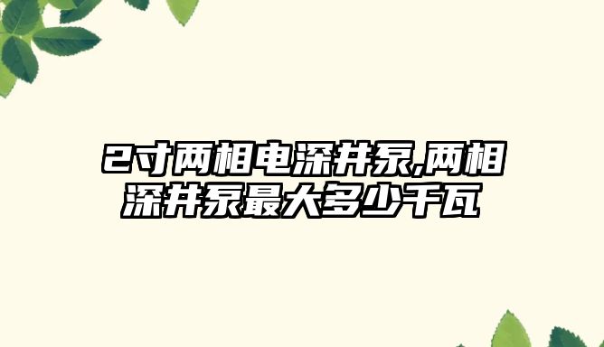 2寸兩相電深井泵,兩相深井泵最大多少千瓦