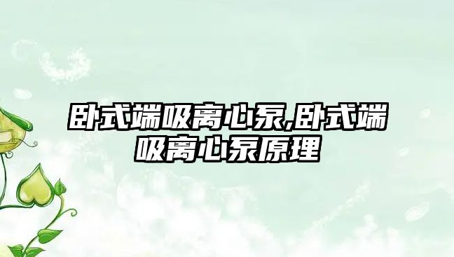 臥式端吸離心泵,臥式端吸離心泵原理