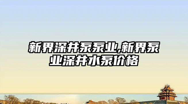 新界深井泵泵業,新界泵業深井水泵價格