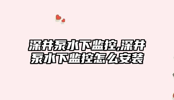 深井泵水下監控,深井泵水下監控怎么安裝