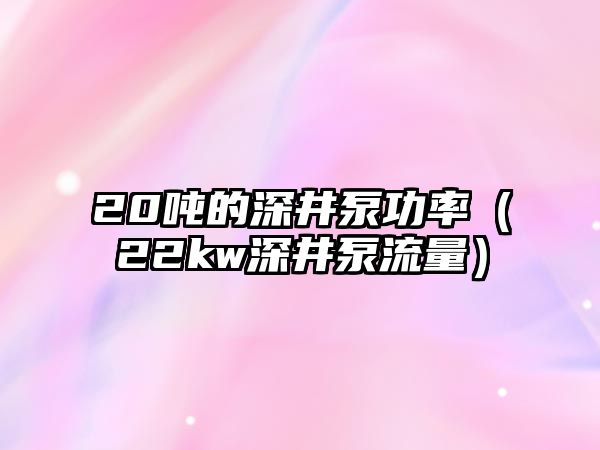 20噸的深井泵功率（22kw深井泵流量）