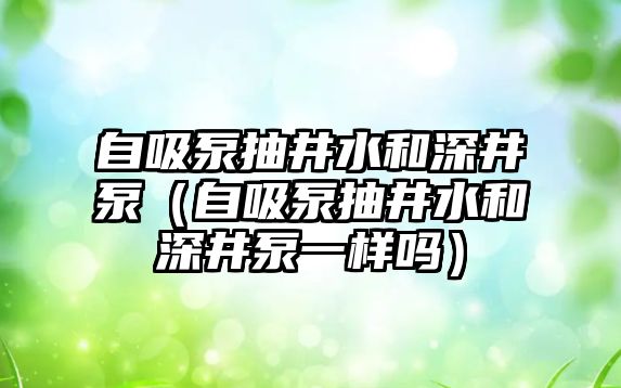 自吸泵抽井水和深井泵（自吸泵抽井水和深井泵一樣嗎）