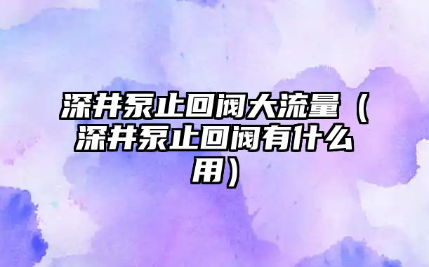 深井泵止回閥大流量（深井泵止回閥有什么用）