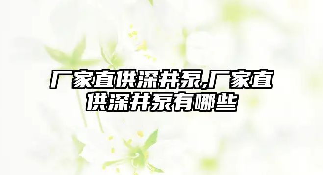 廠家直供深井泵,廠家直供深井泵有哪些