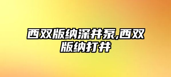 西雙版納深井泵,西雙版納打井