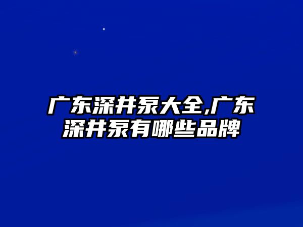 廣東深井泵大全,廣東深井泵有哪些品牌