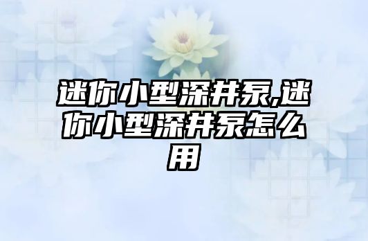 迷你小型深井泵,迷你小型深井泵怎么用