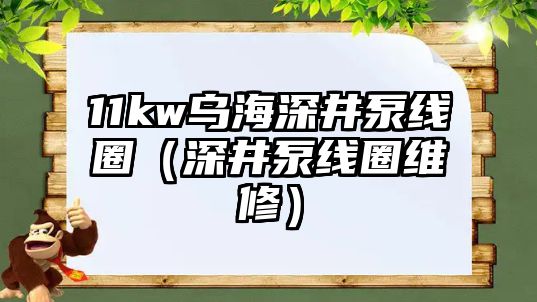 11kw烏海深井泵線圈（深井泵線圈維修）