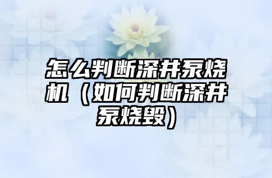 怎么判斷深井泵燒機（如何判斷深井泵燒毀）