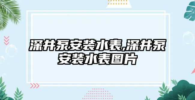 深井泵安裝水表,深井泵安裝水表圖片