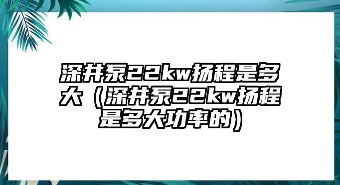 深井泵22kw揚程是多大（深井泵22kw揚程是多大功率的）