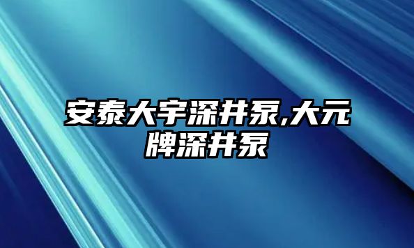 安泰大宇深井泵,大元牌深井泵